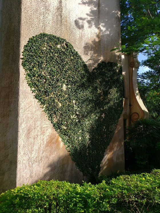 花蓮庭園維護